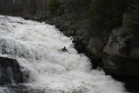 Shohola Falls