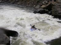 Dave1st rapid