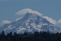 Mt. Hood