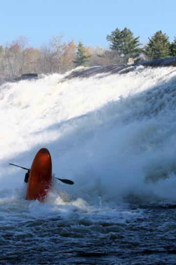 Fowlersville back ender