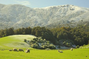 Snow on the approach to the Waikaia Valley