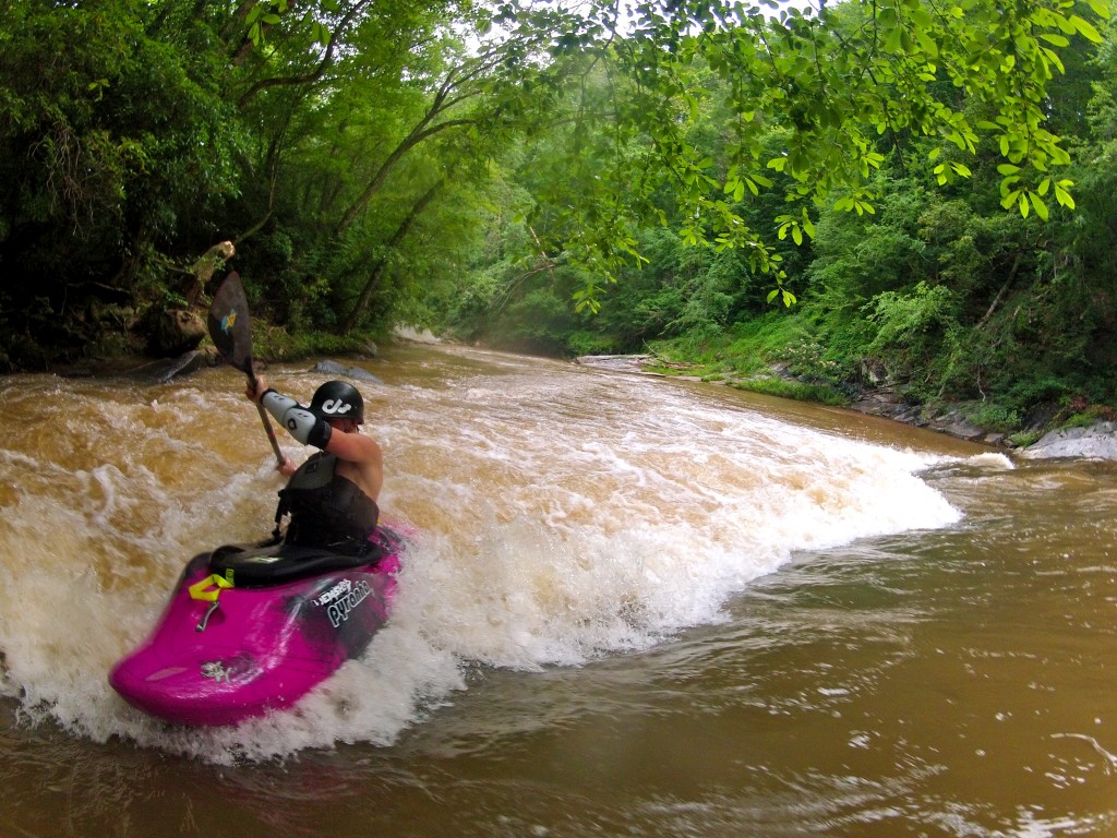 Tigercat in the rodeo hole  Photo: Mac McGee 