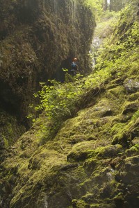 Eric Parker tries to figure out where to from here.. Photo: Todd Wells