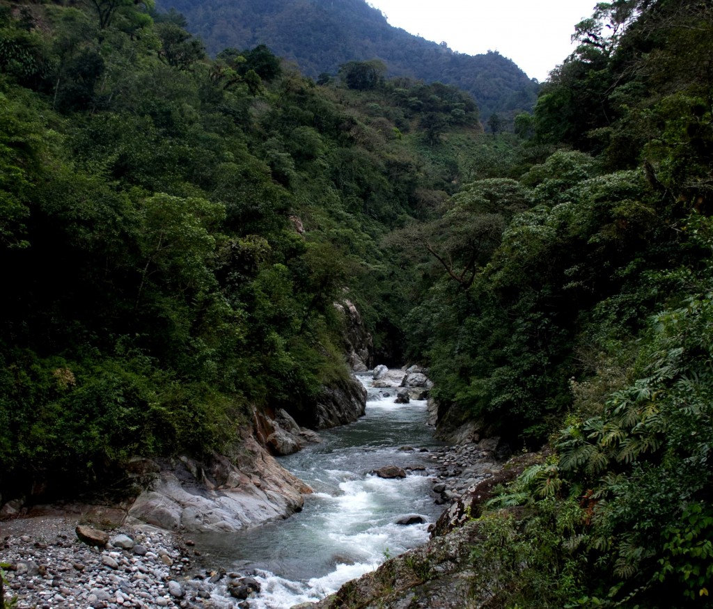 Voyage au Mexique, région de Tlapacoyan, Veracrux - décembre 2013