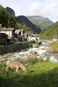 Italian landscape over looking the Sorba