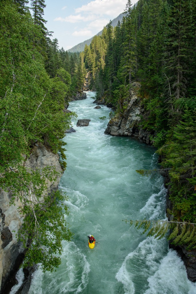 Maxi on the Upper Fraser