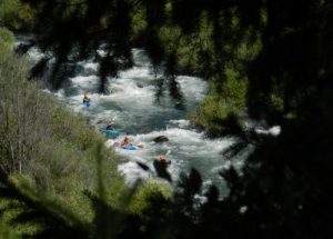 glimpse-of-the-racers-through-the-trees-at-the-overlook